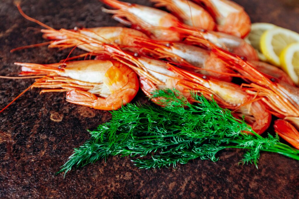 Fresh shrimp with lemon and dill on the red table.