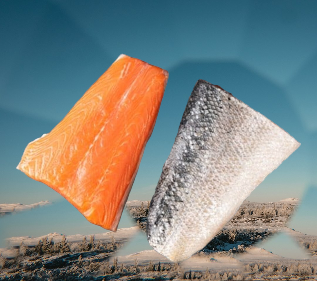 COLA DE SALMON SALAR