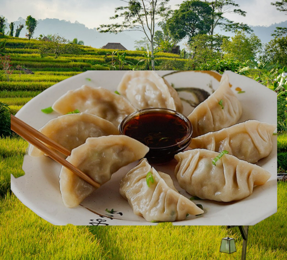 GYOZA DE POLLO Y HONGOS