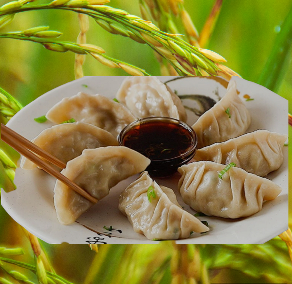 GYOZA DE POLLO Y VERDURA