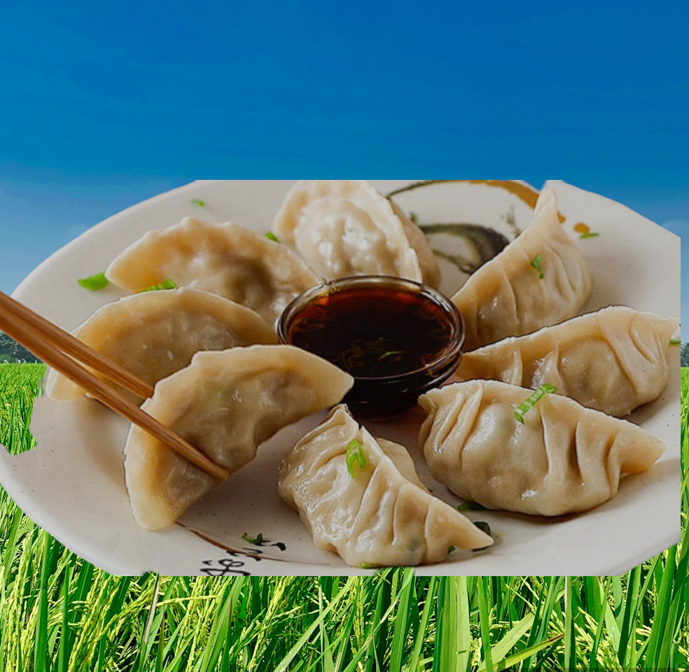 GYOZA DE VERDURA