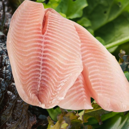 FILETE DE TILAPIA