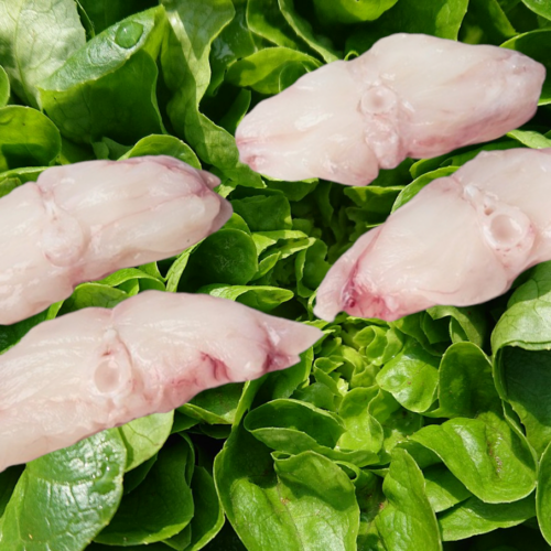 RODAJA DE RAPE SIN PIEL NAMIBIA