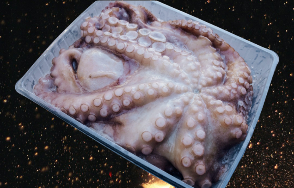 PULPO CRUDO 2/3 KILOS