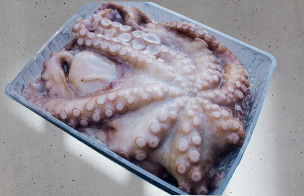 PULPO CRUDO 3/4 KILOS